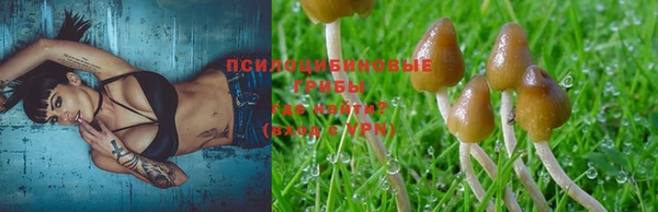кокаин премиум Алзамай