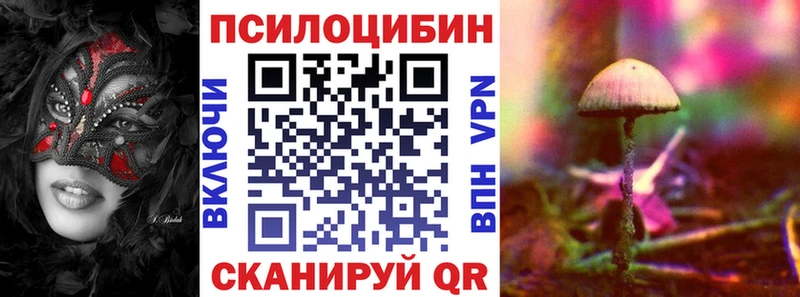 hydra как зайти  Дно  Галлюциногенные грибы GOLDEN TEACHER 